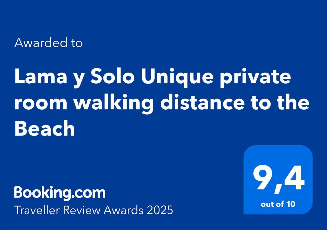 Lama Y Solo Unique Private Room Walking Distance To The Beach Palm Beach Kültér fotó